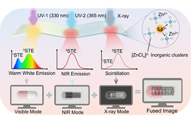 Antimony-activated switchable radiation recombination in a single zinc-based hybrid halide crystal for multispectral image fusion 2026.100981